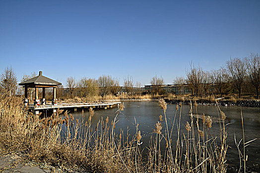 河北建投石家庄,藁城,现代农业观光园