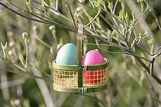 复活节,灌木,枝条,小篮,复活节彩蛋,星期日,传统,地点,隐藏处,芽,鸟窝,鸡蛋,蛋