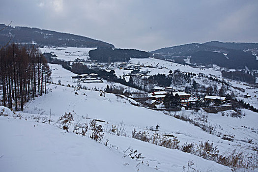 雪乡,雪村,吉林,临江市,村庄,山村,乡村,冬季,雪野,寒冷,农家,接待,旅游,松岭,东北,风情