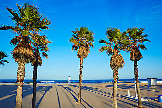 海滩,瓦伦西亚,地中海,西班牙
