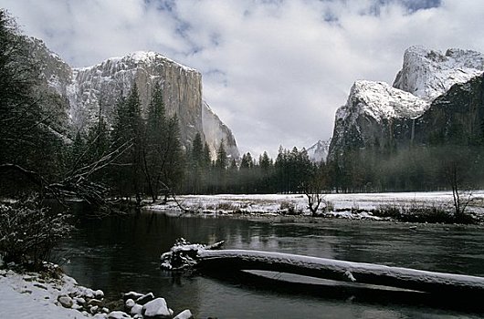 河,流动,树林,船长峰,默塞德河,优胜美地国家公园,加利福尼亚,美国
