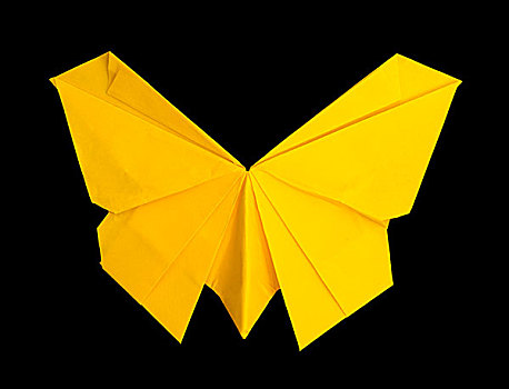 黄色,蝴蝶