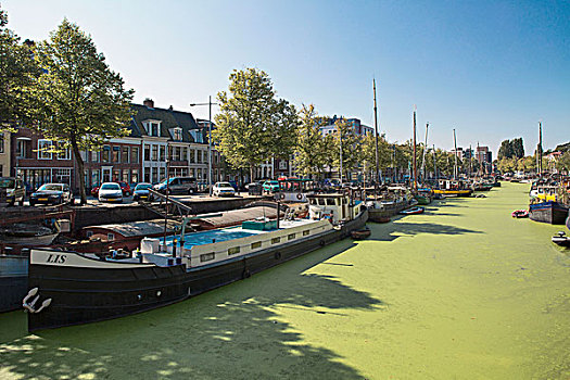 绿色,运河,格罗宁根,荷兰