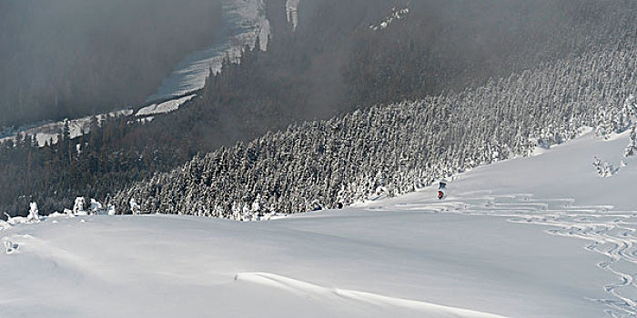 滑雪胜地,惠斯勒,不列颠哥伦比亚省,加拿大