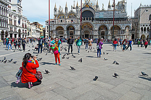 旅游,广场,威尼斯