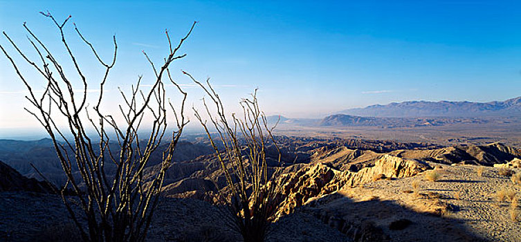 安萨玻里哥沙漠州立公园,加利福尼亚,美国