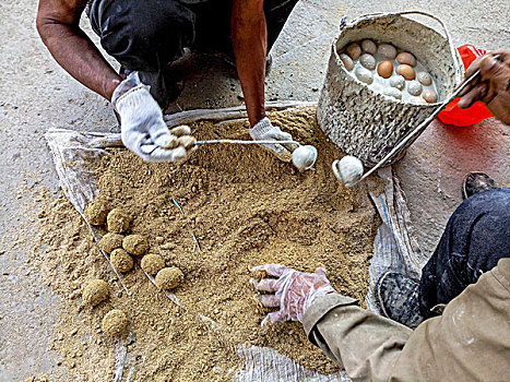 河南滑县,鸡蛋价格创新低农民买来加工变蛋一毛一个作为麦收食品