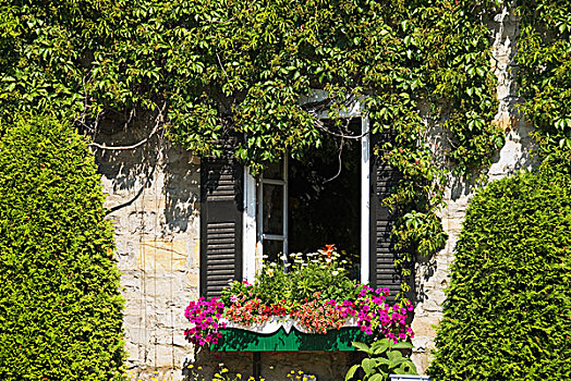 窗户,打开,绿色,百叶窗,花,魁北克,加拿大