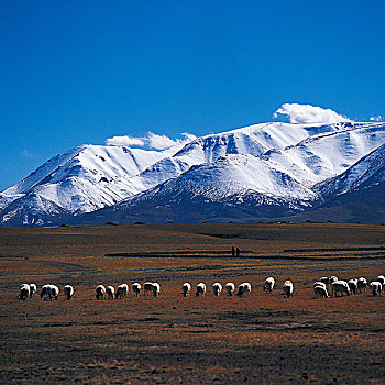 西藏风景