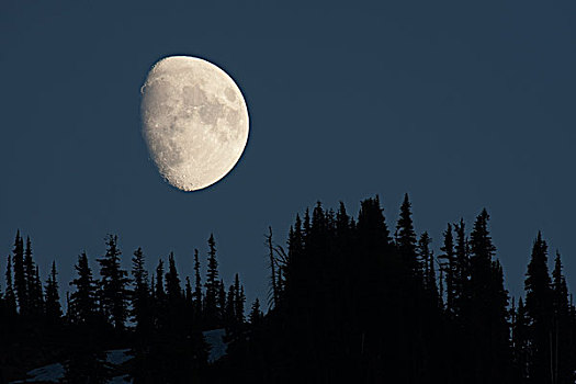 雷尼尔山国家公园,月出