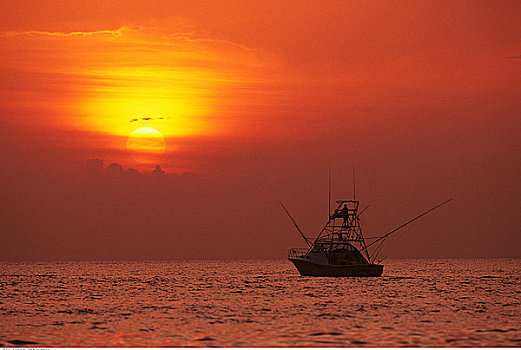 渔船,日落,巴哈马