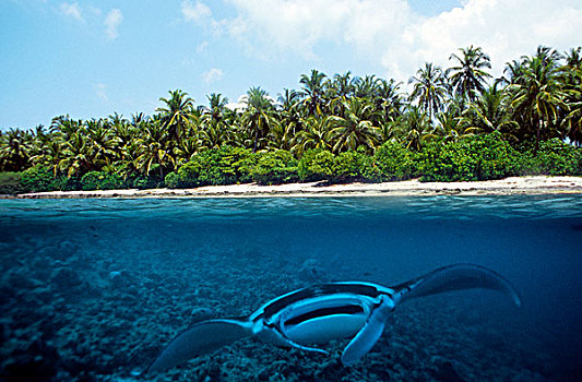 分开,图像,高处,仰视,水,光线,阿里环礁,马尔代夫,印度洋,亚洲