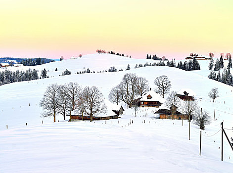 农舍,积雪,丘陵地貌,早晨,亮光,伯恩,瑞士,欧洲