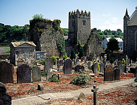 教堂,墓地,基尔肯尼郡,爱尔兰