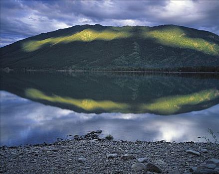 晚间,反射,麦克唐纳湖,冰川国家公园,蒙大拿