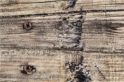 老,腐烂,缝隙,质地,木板,生锈,螺丝