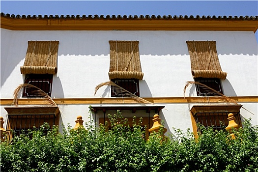 建筑,百叶窗,塞维利亚,西班牙