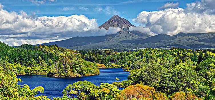 丛林,树林,湖,火山,攀升,塔拉纳基,国家公园,北岛,新西兰,大洋洲