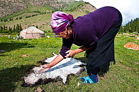 吉尔吉斯斯坦,省,山谷,清洁,绵羊,皮肤