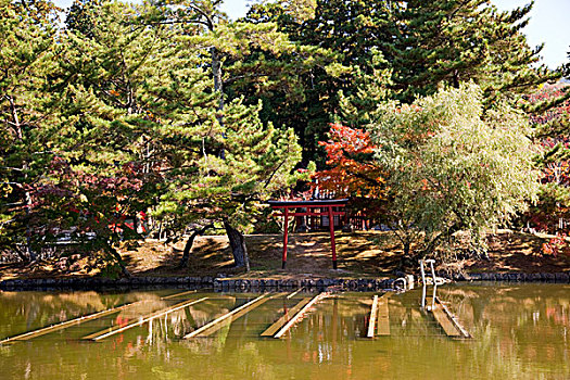 日式庭园,东大寺,奈良,日本