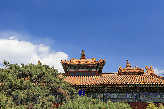北京宗教建筑雍和宫法轮殿