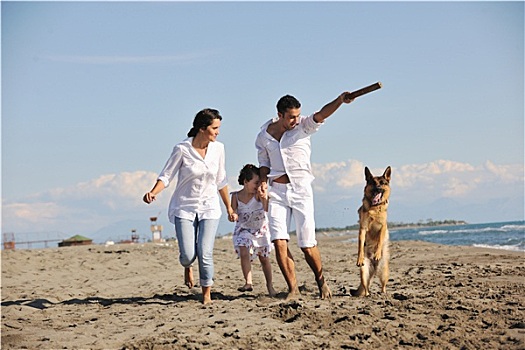 幸福之家,玩,狗,海滩