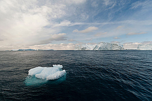 冰山,阳光,伊路利萨特冰湾,迪斯科湾,格陵兰