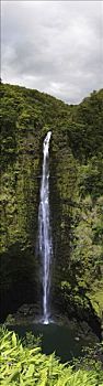阿卡卡瀑布,阿卡卡瀑布州立公园,靠近,夏威夷大岛,夏威夷,美国