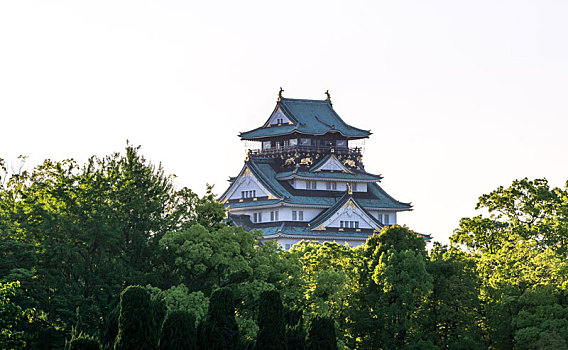 大阪城,风景