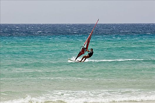 风帆冲浪者,海滩,富埃特文图拉岛,加纳利群岛,西班牙