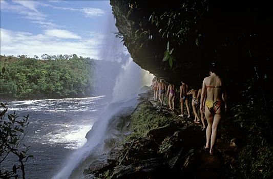 游客,瀑布,委内瑞拉,南美