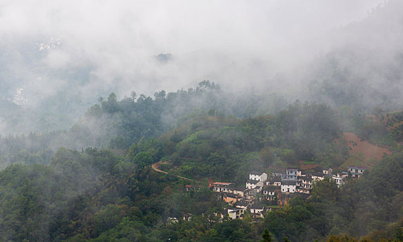 云雾坡山