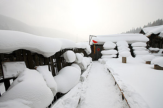 中国雪乡风景