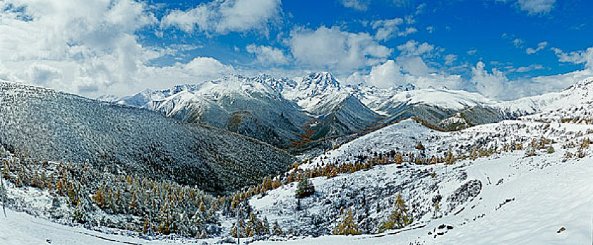 云南德钦白马雪山