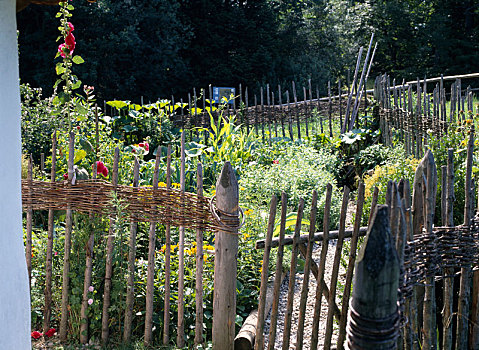 农场,花园,藤条,栅栏