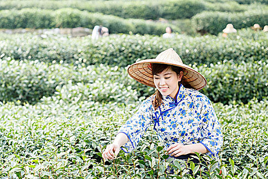 亚洲人,漂亮,女孩,种植园