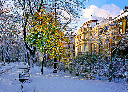 公园,冬天,交响乐团,克拉科夫,波兰