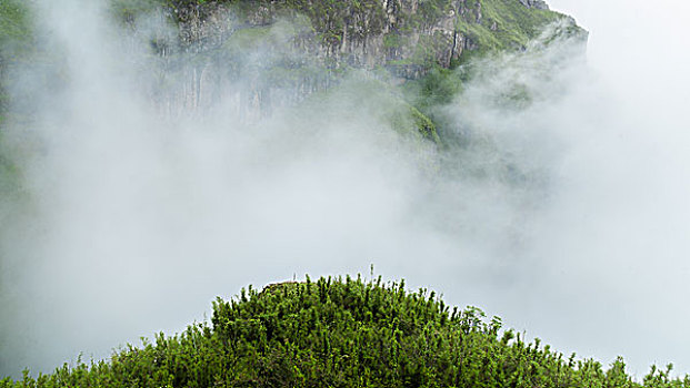 风景,风光,自由,旅行,封面,杂志,广告,景区