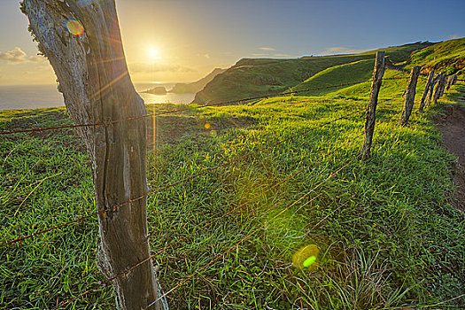 栅栏,日出,湾,毛伊岛,夏威夷,美国