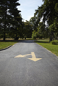 箭頭,途中,宅邸,國家,古跡,海德公園,紐約,美國