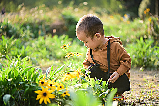 花丛中的小男孩