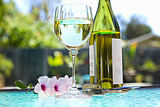 玻璃,瓶子,白葡萄酒,户外桌,池边