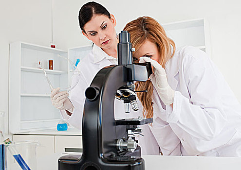 两个,科学家,女人,工作,显微镜
