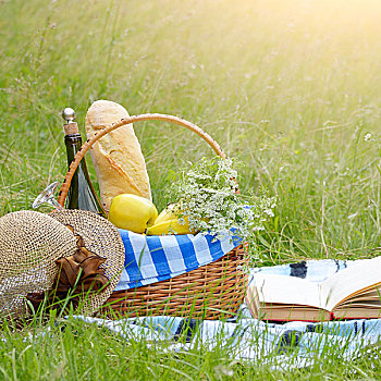 野餐篮,水果,葡萄酒,面包,草地,书本,帽子