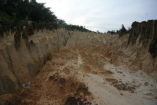 马来西亚沙捞越州的一处喀斯特地貌