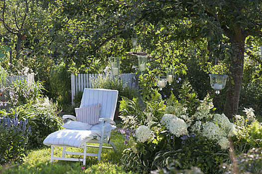 白色,躺椅,苹果树,床,八仙花属