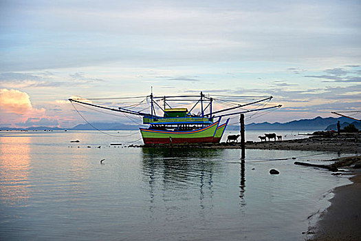 渔船,靠近,乡村,砂质黏土,苏门答腊岛,印度尼西亚,亚洲