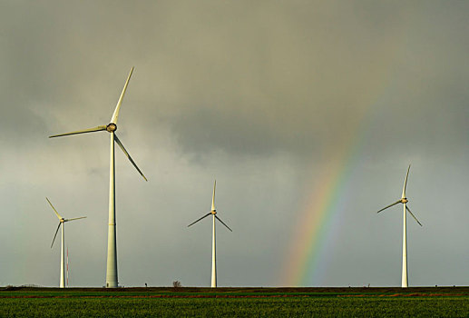 地点,风景,彩虹,涡轮,风电场,北方,荷兰,靠近,瓦登海