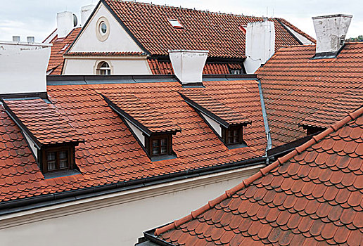 红色,砖瓦,屋顶,布拉格
