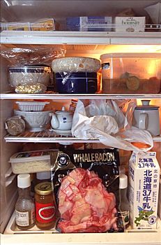 矮小,小须鲸,肉,冰箱,日本,家
